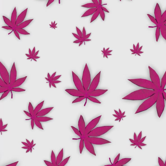 Pink Pot Leaf Bloom 🌸 Full Wrap Edition Lighter | Gift Craft
